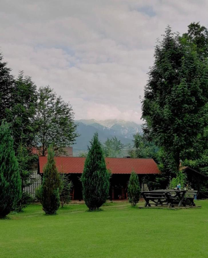 Garden Retreat (adults Only) Pensión Bran (Brasov)